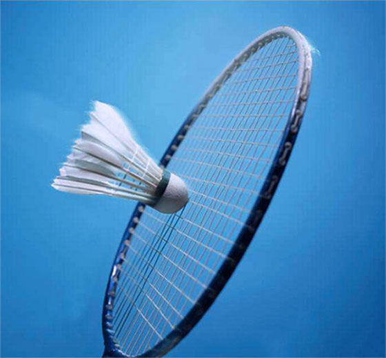 中国羽毛球公开赛：陈雨菲卫冕 中国夺两金一银